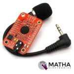Speech Recognition Module