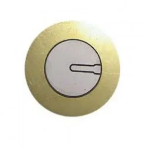 Piezoelectric Transducer